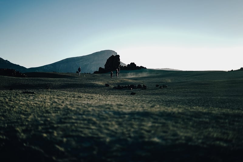 Cinematic Shots